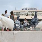 images/varosok/Alicante/Alicante (6).jpeg